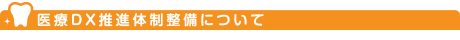 医療DX推進体制整備について